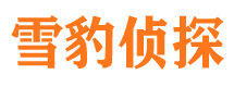 新市市调查公司